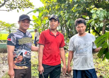 Sinergi Warga LDII Karangwinongan dan Masyarakat Karangmenjangan Bersihkan Makam Umum di Mojoagung