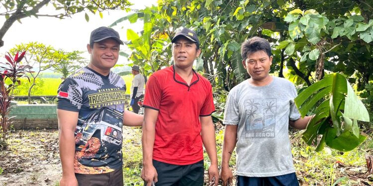 Sinergi Warga LDII Karangwinongan dan Masyarakat Karangmenjangan Bersihkan Makam Umum di Mojoagung