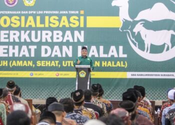 LDII Jatim Gandeng Dinas Peternakan dan BPJPH, Sosialisasikan Kurban Aman, Sehat, Utuh, dan Halal
